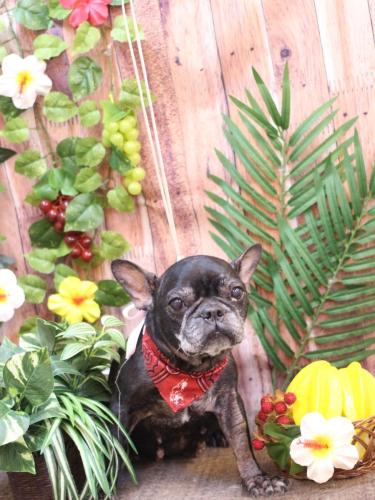 20230819さつきちゃん